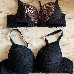 Torrid Bras